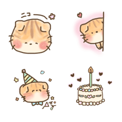 ねこ(スコティッシュフォールド)の生活