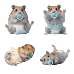 baby hamster
