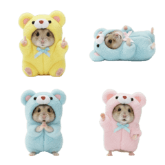 Hamster in a Bear Costume 2