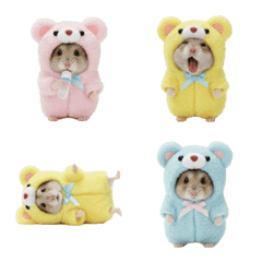 Hamster in a Bear Costume 1