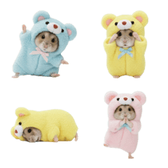 Hamster in a Bear Costume 3