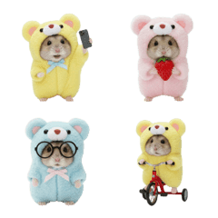 Hamster in a Bear Costume 4