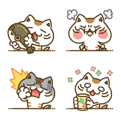 What The Heck CAT animated emoticons