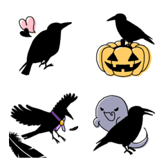 ▶︎動く★スタイリッシュなカラス②