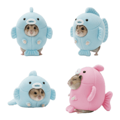 hamster wearing a fish costume