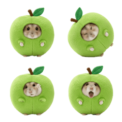 A hamster wearing a green apple outfit
