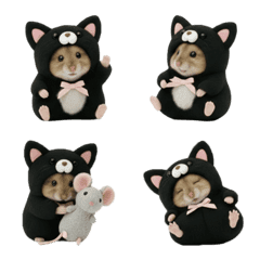 Little Black Cat Hamster