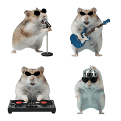 A hamster wearing sunglasses