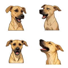 乖乖小狗日常(40組)