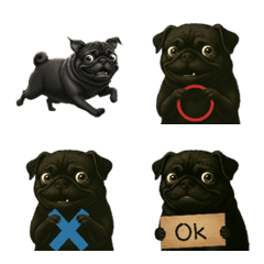 pug!! I am seju.