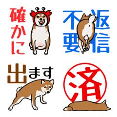 ちょっとお髭の多い赤豆柴の反応絵文字