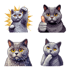 無言で伝えるブリティッシュショートヘア絵