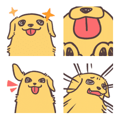 黃金獵犬波可動起來