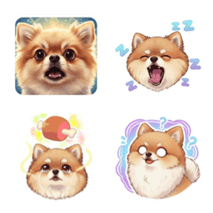 博美卡蒂表情多