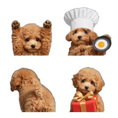 Moving Toy Poodle Emoji