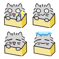 はこねこ　文字無し