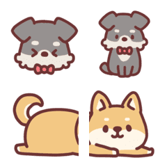 Miniature Schnauzer and Shiba Inu