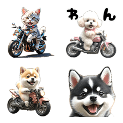 【動く】バイクが好き♡ねこ 犬 うさぎ