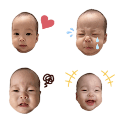 百變松果