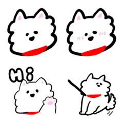 west highland White terrier02