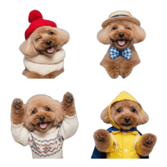 Shipon's pet dog PETE 3