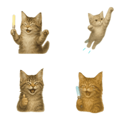 อิโมจิลูกแมวของ เมนคูน