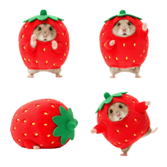 Strawberry Hamster 1