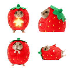 Strawberry Hamster 2