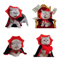 面白い顔のドラキュラ猫