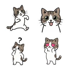 かわいいキジトラ白の絵文字4