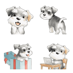 動く！やさしいミニチュアシュナウザー