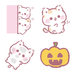 Kitten looking for attention