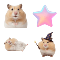 Happy Hamster