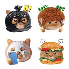 MINDADAY(COVERCAT) part3