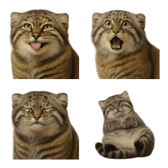 Realistic emoji of Tsushima wildcat