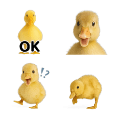 Realistic Duck 1