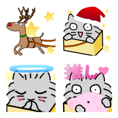 はこねこ　４