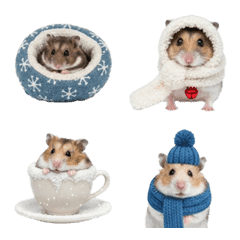 Winter hamster 1