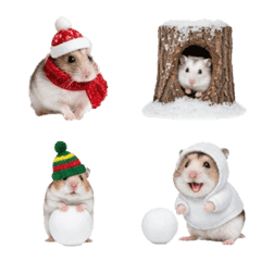 Winter hamster 3