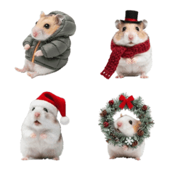 Winter hamster 2