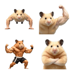 Muscle Golden Hamster 2