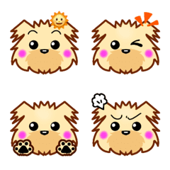 MONCHANNOKIMOCHI