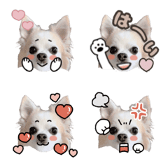 ふわりの絵文字