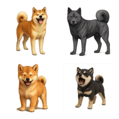 A large gathering of Japanese dogs