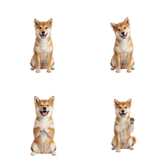 DOG GOOD  Emoji85