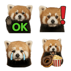 Realistic Red Panda 1