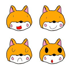 こうちゃん柴犬編