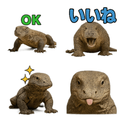 Realistic Varanus komodoensis 1