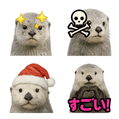 Realistic Sea otter 1