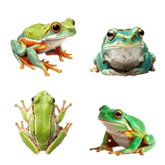 Real Frog Emoji